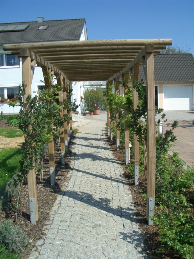 Pergola