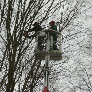 Schneidearbeiten Kreuzsteinbad