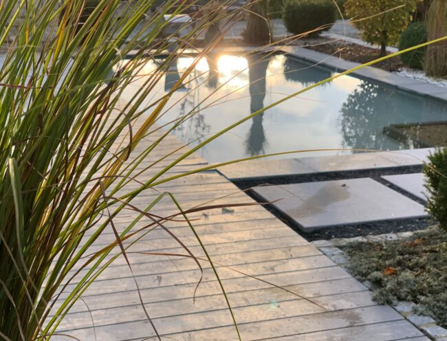 Teichanlage Teichanlage