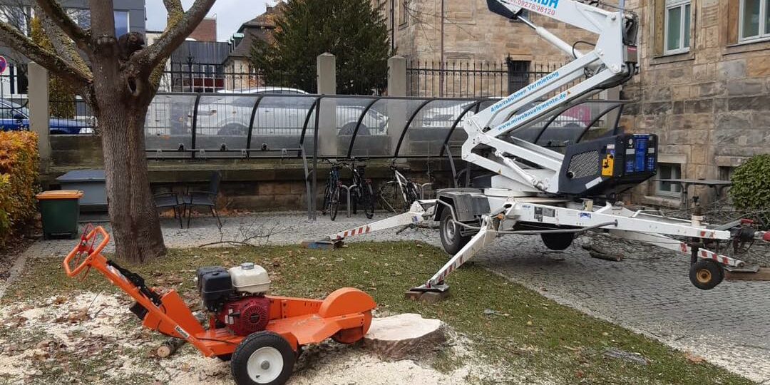 Wochenupdate Hebebühne mit 2 Mitarbeitern die einen Baum zuschneiden