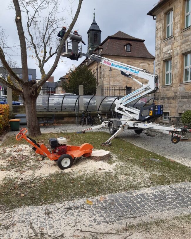 Wochenupdate Hebebühne mit 2 Mitarbeitern die einen Baum zuschneiden