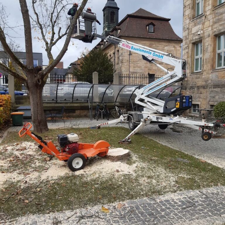 Hebebühne mit 2 Mitarbeitern die einen Baum zuschneiden