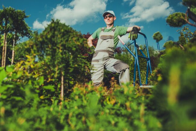 Ein Facharbeiter im Garten- und Landschaftsbau steht in einem grünen Gartenbereich und lehnt sich auf ein Arbeitsgerät. Er trägt Arbeitskleidung und Handschuhe, im Hintergrund sind Bäume und Sträucher zu sehen.